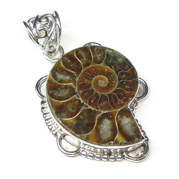 Top design ammonite fossil sterling silver handmade pendant jewelry