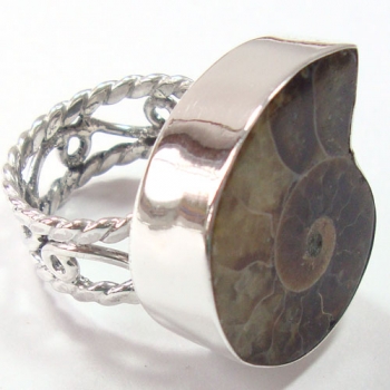 Unique band top design pure silver ammonite fossil ring