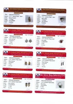 Top design best selling pure silver red Garnet gemstone earrings